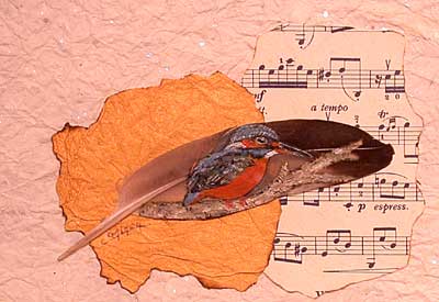 l'oiseau