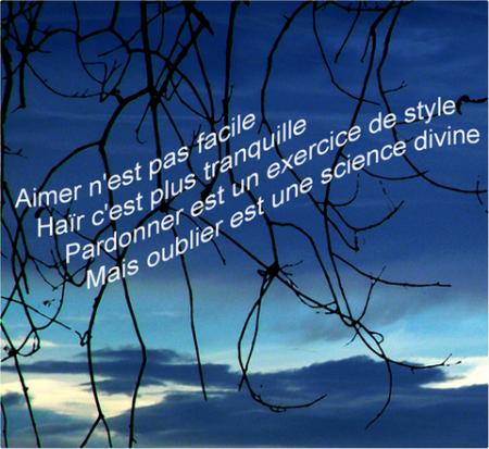 aimer