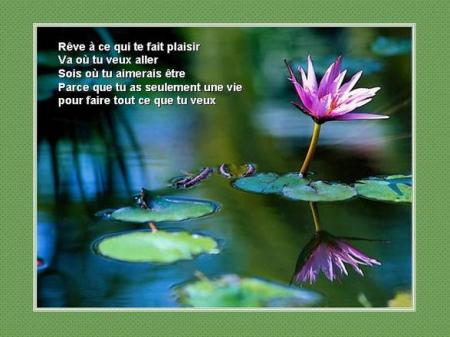 tout et deja dit