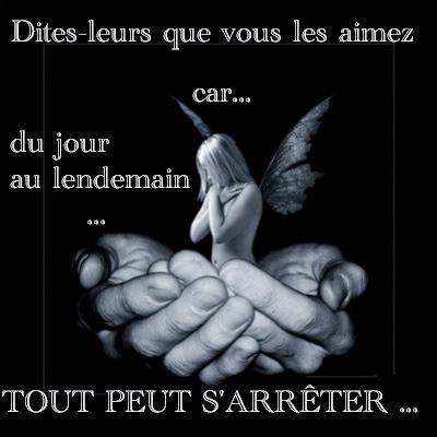 cest la pure veriter