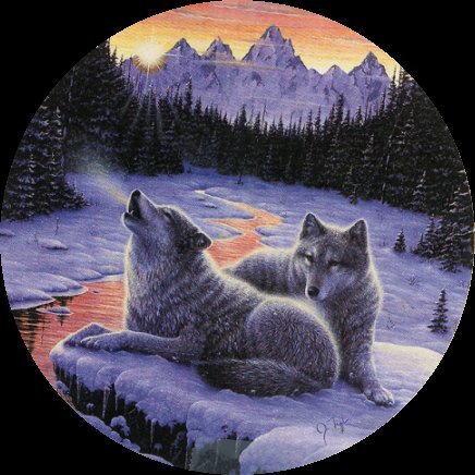 les loups